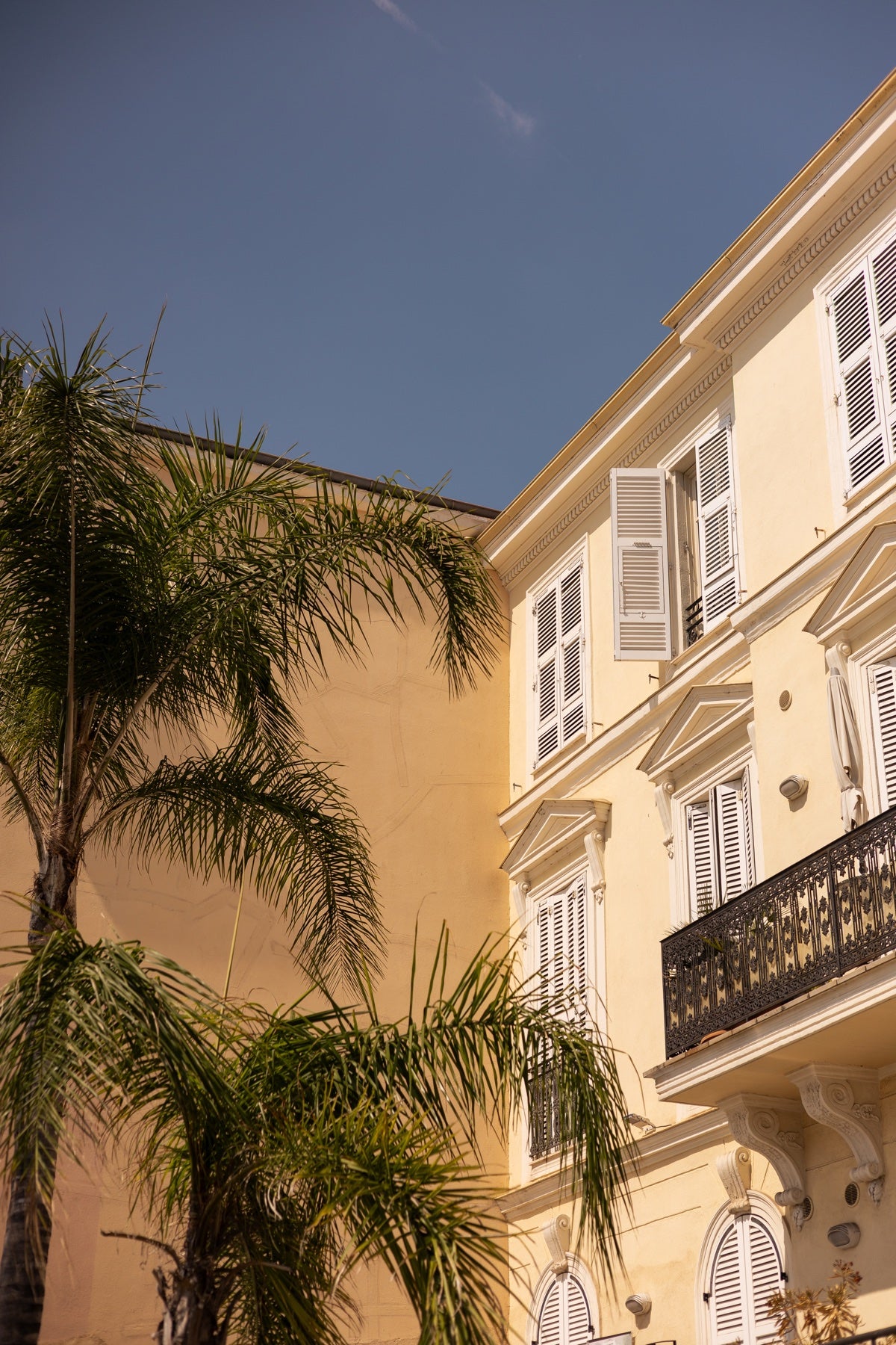 Riviera architecture framed by palms